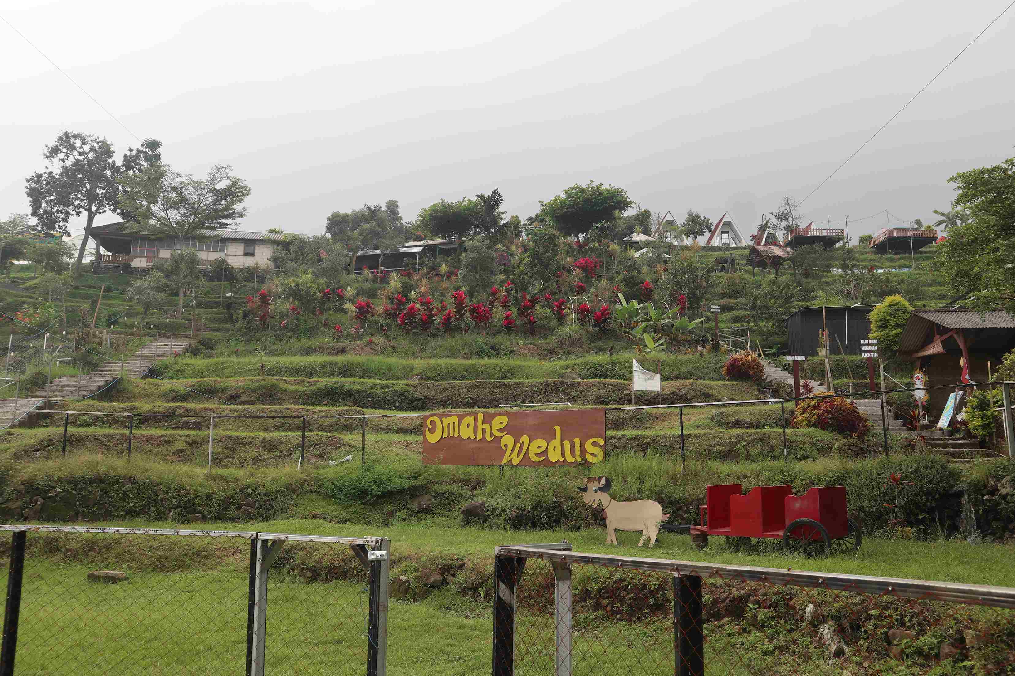 Omah Wedhus Padusan Park Mojokerto: Lokasi, Harga Tiket, dan Aktivitas Seru untuk Liburan Keluarga