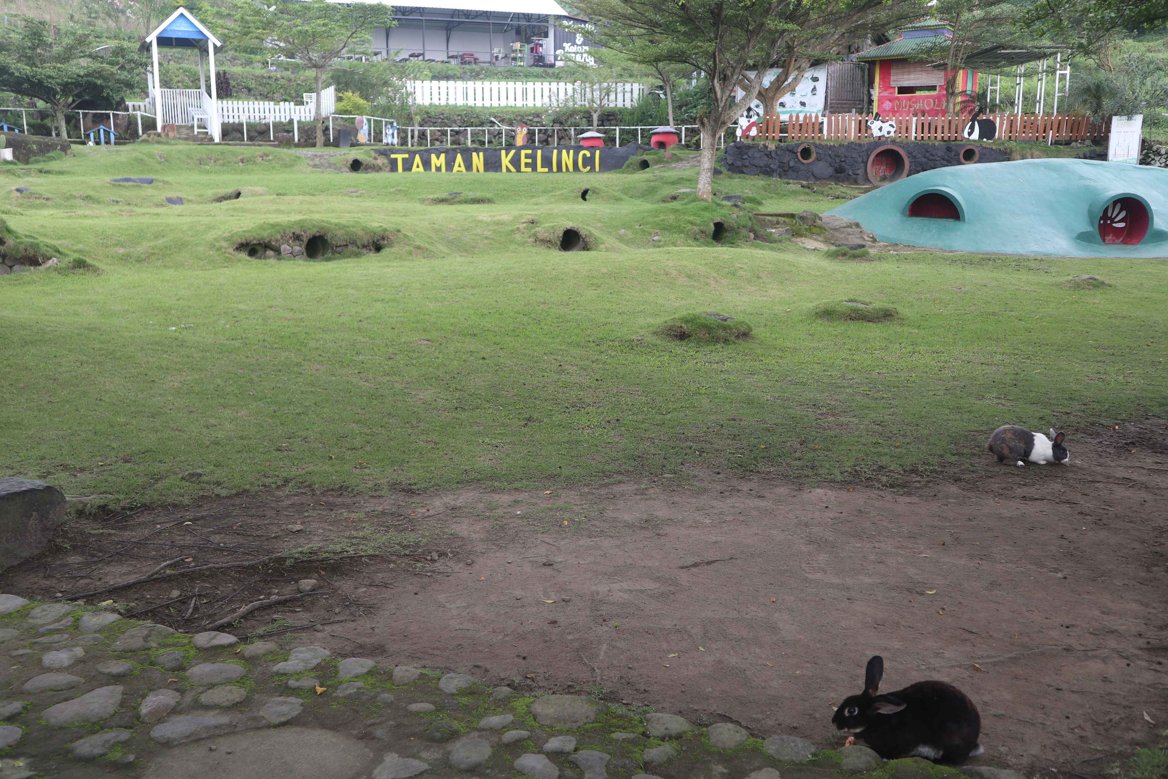 Liburan Seru Bareng Kelinci di Padusan Park: Harga, Kegiatan Seru dan Tips Berkunjung