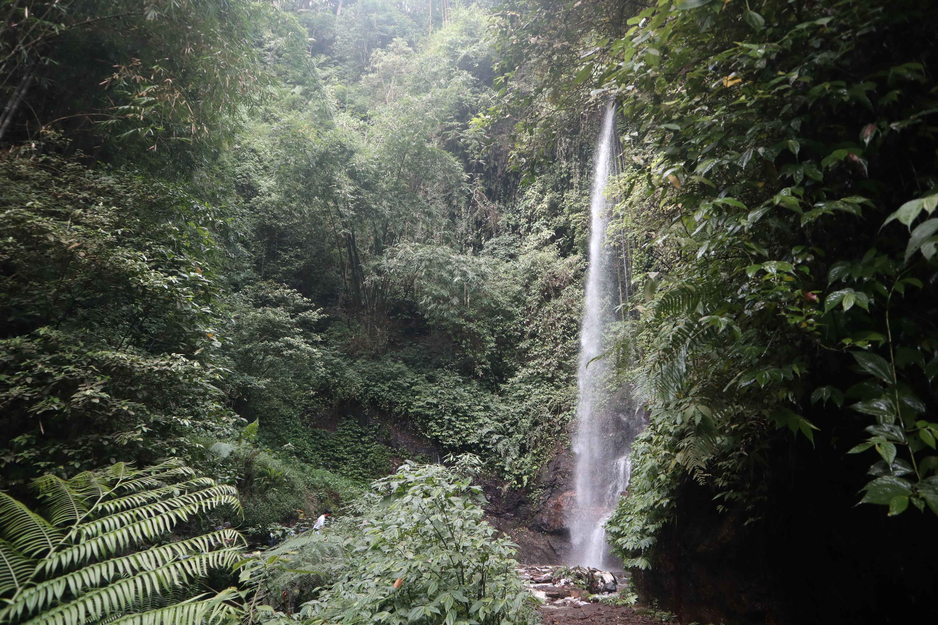 Panduan Lengkap Wisata Air Terjun Grenjengan: Rute, Tiket, dan Tips Berkunjung