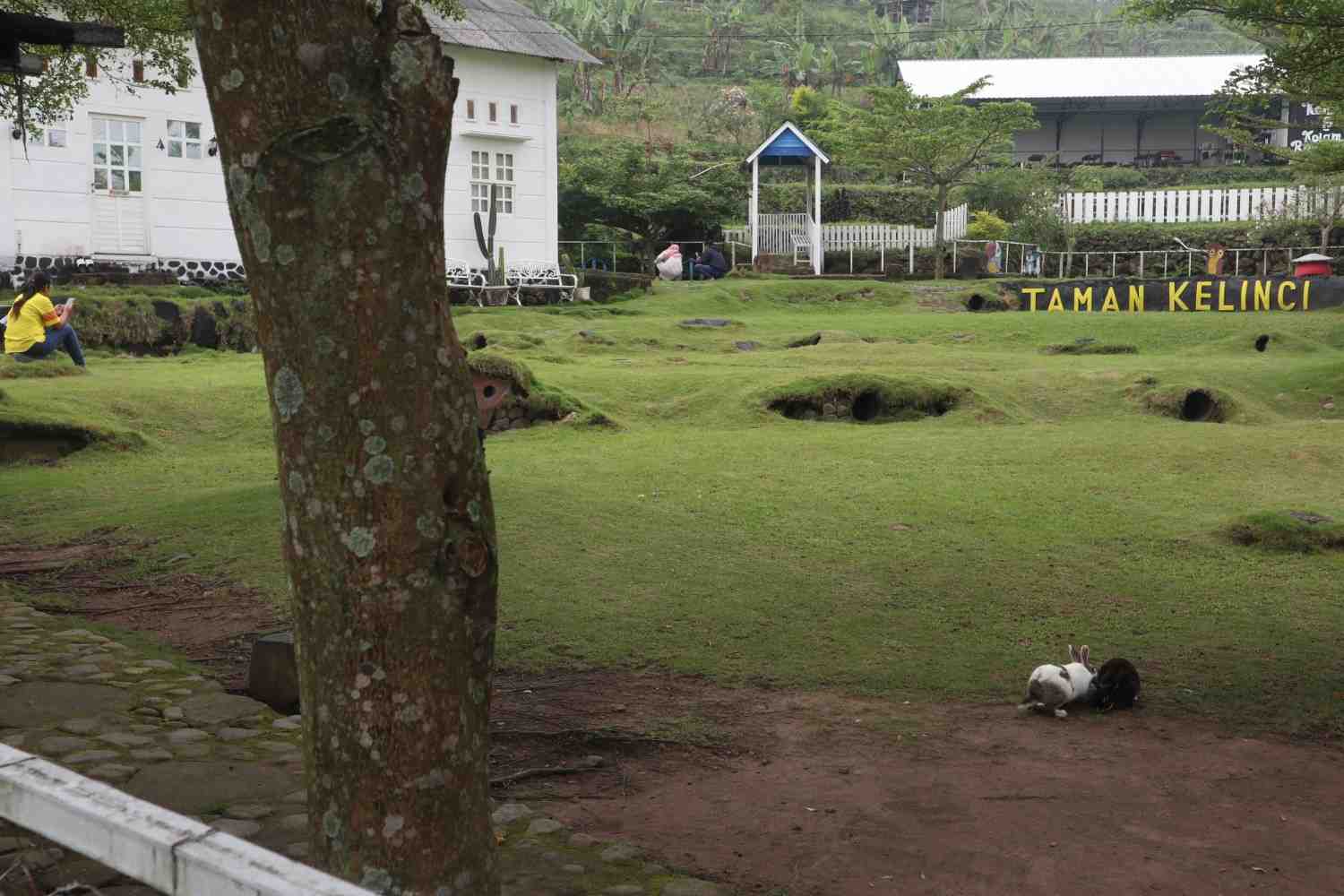 Taman Kelinci